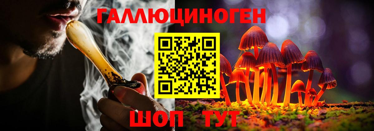Галлюциногенные грибы Cubensis Коломна
